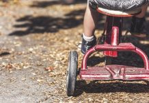 Mestna občina Celje: Celje bo z evropskimi sredstvi krepilo glas otrok v družbi