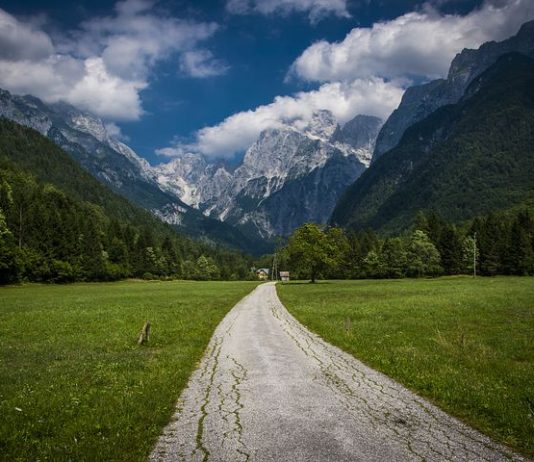 Vse, kar morate vedeti o turističnih bonih