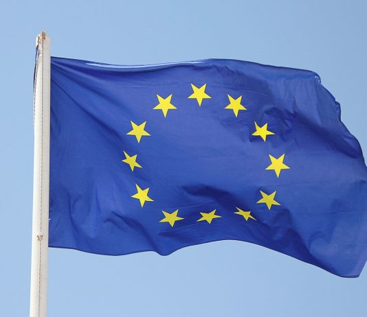 Ob dnevu Evrope – države članice EU sodelujemo pri razvoju lastnih obrambnih sil ter pri zagotavljanju miru v naši bližnji in daljni soseščini