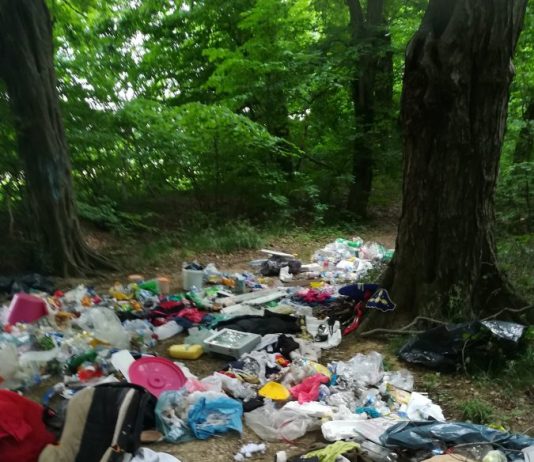 Nedopustno, kakšno svinjarijo sta pustila Mariborčana v Ptičjem gozdu!