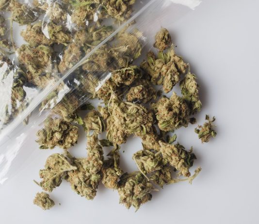 Marihuana: V katerih občinah je najbolj uporabljana-zlorabljena?