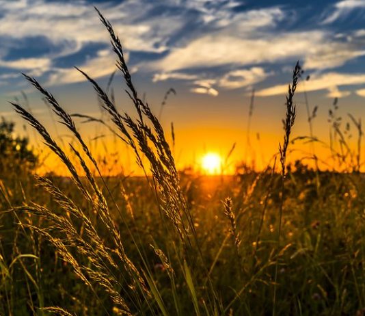Vroč dan je pred nami, napovedanih je do do 36 °C