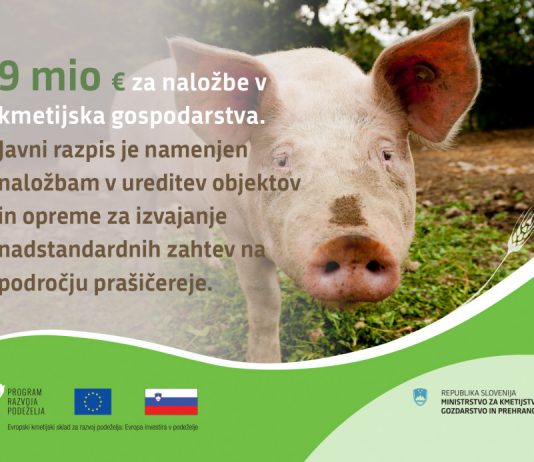 9 milijonov evrov za naložbe v kmetijska gospodarstva