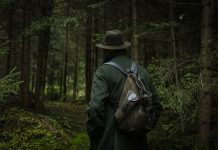 Mestna občina Celje: Mestni gozdovi Celja v lepši podobi – varnejši, bolj dostopni in vse bolj priljubljeni