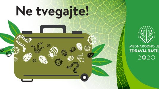 Ne tvegajte! Ne prinašajte domov rastlin semen, plodov, zelenjave ali cvetja, kadar potujete v druge države, ker se v njih lahko skrivajo bolezni in škodljivci rastlin.