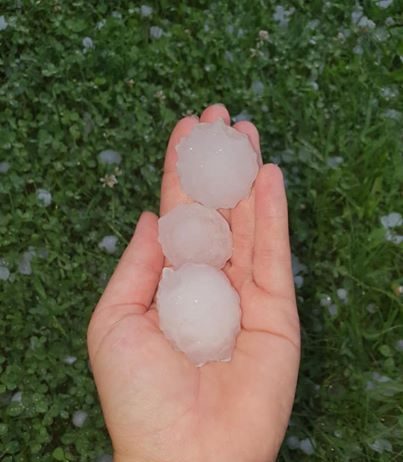 Pričetek ocenjevanja škode v gospodarstvu zaradi posledic močnega neurja z vetrom in točo 30. avgusta 2020