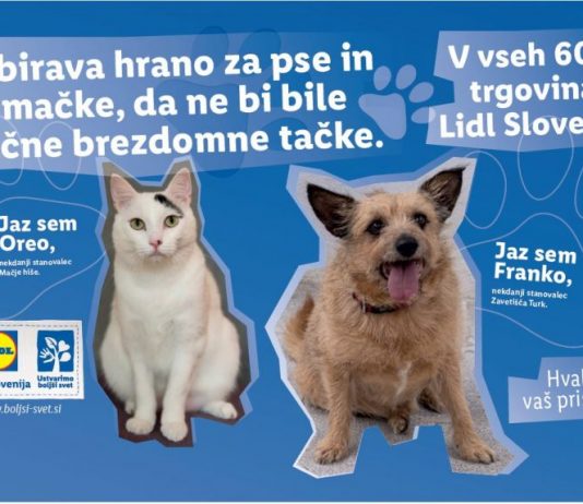 Lidlova dobrodelna akcija Koraki za tačke – v pomoč brezdomnim živalim