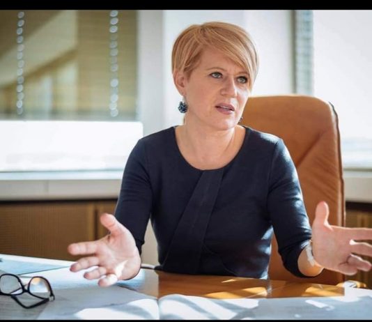 Dr. Aleksandra Pivec na družbenem omrežju Facebook o diskreditacijah zoper njo!