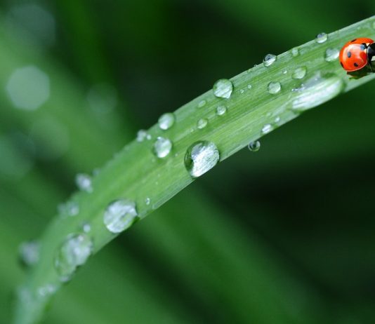 Z novim tednom se vračajo padavine, nad naše kraje doteka hladnejši zrak