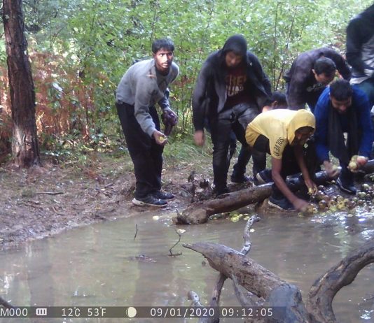 Lovska kamera s senzorjem gibanja namesto divjadi pod Gorjanci ujela nezakonite migrante!