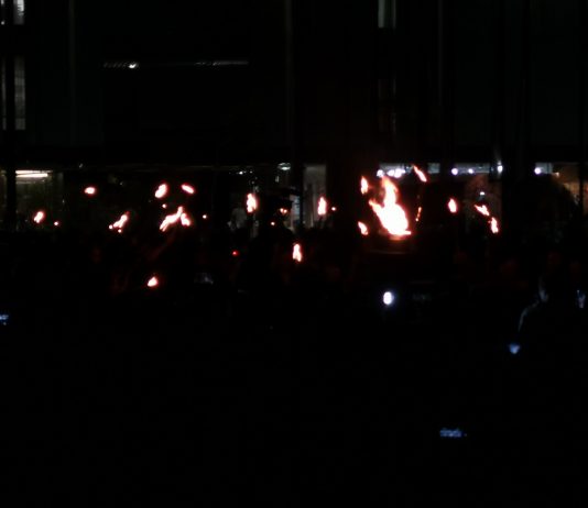Nepredstavljivo, petkovi protestniki z nacistično simboliko?