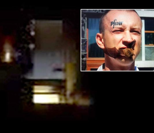 (VIDEO) Poglejte hrupne zabave na naslovu, kjer »ustvarja« Rus Davidčenko, ki je požrl netopirja in ga plačujemo neto davkoplačevalci