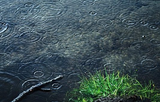 Danes deževno, v hribih sneg, jutri zjutraj temperature le še od 2 do 7°C