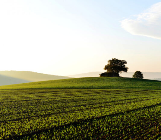 Slovenske občine prejele 6,1 milijona evrov za sofinanciranje skupnih občinskih uprav