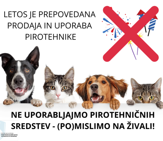 (Po)mislimo na živali – ne uporabljajmo pirotehničnih sredstev