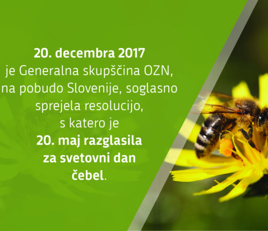 Mineva tri leta od razglasitve svetovnega dne čebel