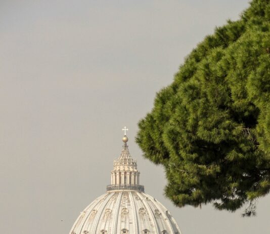 Slovensko božično drevo v Vatikanu je zažarelo