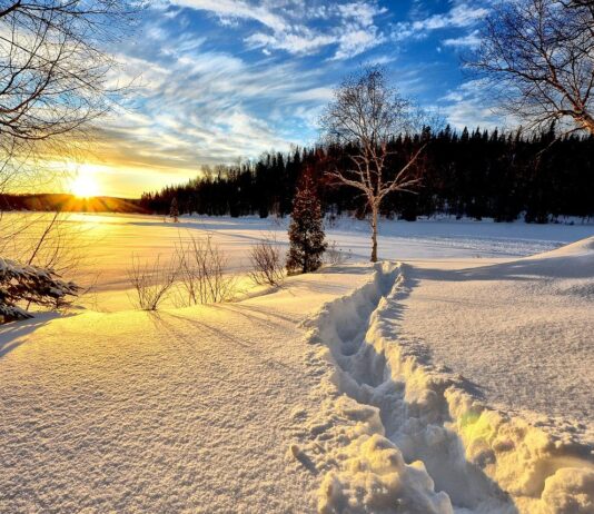 ARSO opozarja: Poledica in žled, obilno sneženje