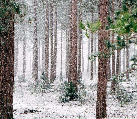 Arso: Pred nami dva dneva sneženja