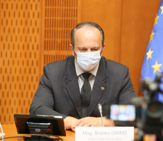 Branko Grims na medparlamentarni konferenci s svojim prispevkom navdušil Višegrajsko skupino in močno razburil levico