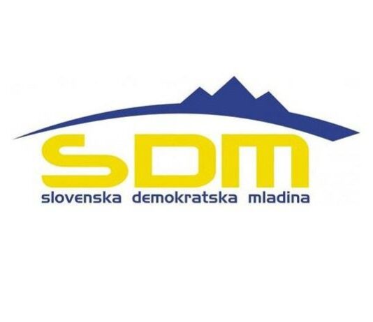 Podmladek stranke SDS v naslednjih štirih letih želi doseči davčno razbremenitev mladih do 26. leta starosti