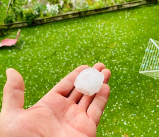 Sinočnje neurje odkrivalo strehe in rušilo drevesa