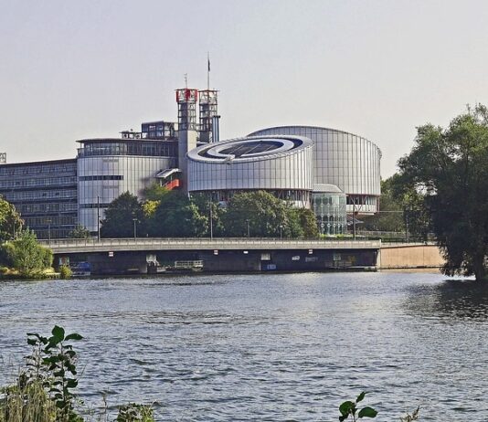 Siol: Po odločitvi ESČP Slovenija babici koroških dečkov kršila pravice