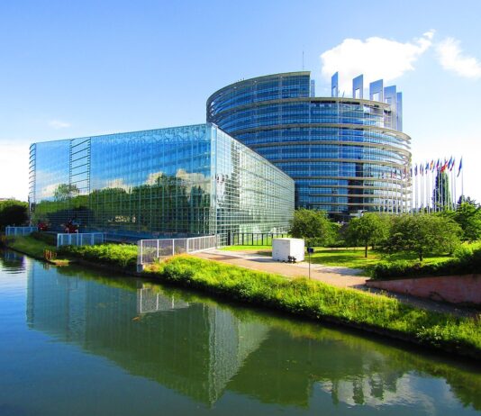 (Video) Ko Tanja Fajon z lastno objavo sama sebe demantira, da ne izvaža notranjepolitičnih problemov v Evropski parlament!