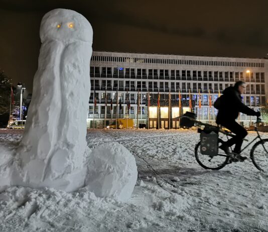 Bizarno! Jaša Jenull s somišljeniki pred Državnim zborom iz snega ustvaril moški spolni ud! Je to politika, ki jo podpirajo v KUL?