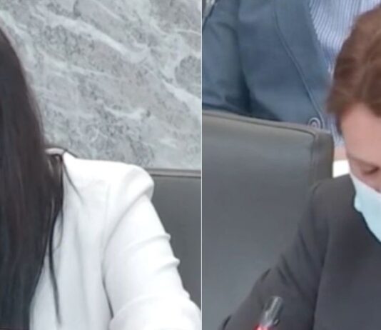 Bi lahko bili s prestopom Janje Sluga v SAB priča ženskemu prepiru za mesto predsednice? Je zato Alenka Bratušek trenutno Janjo Sluga pustila na “hladnem”?