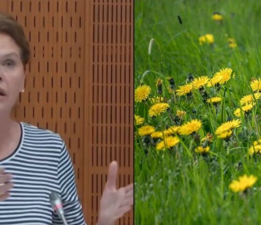 Bizarno! Medije namesto astronomsko dragih gradbenih projektov, ki jih draži Alenka Bratušek, zanima cena regrata v Ljubljani!