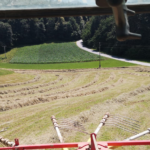 Koalicija z glasovanjem pokazala, da so za njih družinske in male kmetije kolateralna škoda!