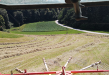 Koalicija z glasovanjem pokazala, da so za njih družinske in male kmetije kolateralna škoda!