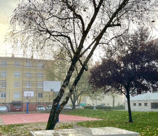 Mestna občina Celje: Obnovljeno igrišče na Drapšinovi ulici