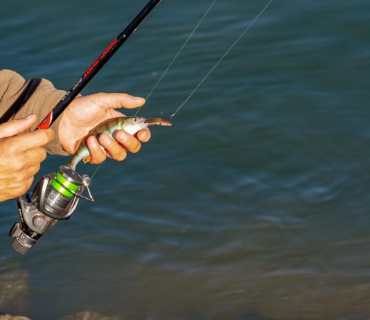Občina Laško: Ribiška družina Laško praznovala 70-letnico delovanja