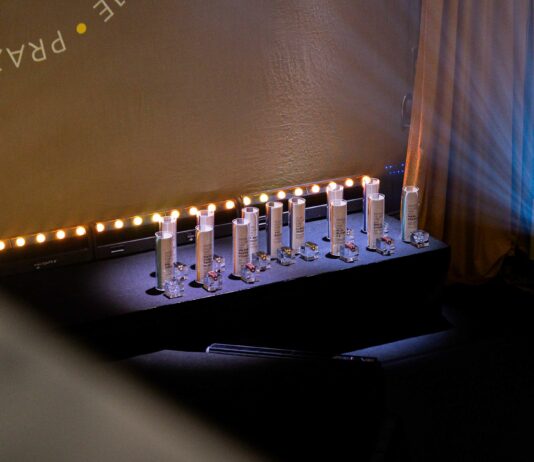 Mestna občina Celje: Objavljen je razpis za podelitev najvišjih priznanj Mestne občine Celje