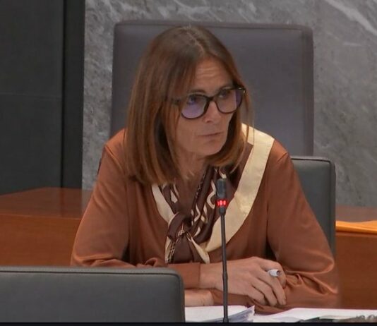 Namesto posutja s pepelom, Nataša Avšič Bogovič opoziciji žuga, da je kriva za romsko problematiko!