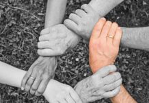 Borut Rožič: “Kako naj bo kultura ljudi na nivoju, če vsak dan gledajo politike, ki javno lažejo, manipulirajo in uničujejo Slovenijo.”