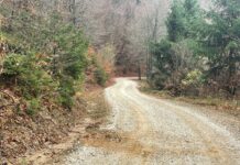 Občina Slovenske Konjice: Vzdrževalna dela na gozdnih cestah