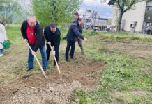 Občina Slovenske Konjice: Ob Dnevu Zemlje v Slovenskih Konjicah zasadili osem lip