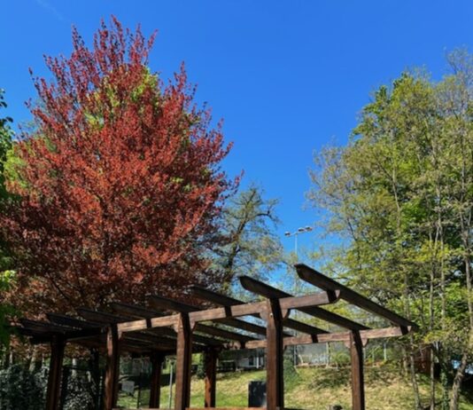 Občina Slovenske Konjice: Obnovljena Pergola v ŠRC Park