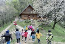 Mestna občina Celje: Celjski javni vrtci otrokom omogočajo bogate nadstandardne vsebine
