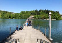 Mestna občina Celje: Nova zgodba na Šmartinskem jezeru – Zeleni trenutki za vse generacije