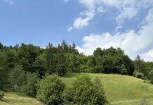 Občina Laško: Otvoritev ceste Mala Breza-Gunzek