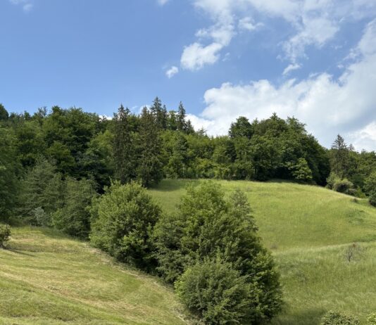 Občina Laško: Otvoritev ceste Mala Breza-Gunzek