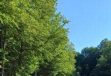 Občina Rogaška Slatina: Zaključena je obnova lokalne ceste Spodnje Sečovo – Tuncovec