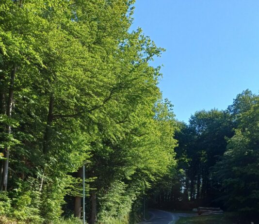 Občina Rogaška Slatina: Zaključena je obnova lokalne ceste Spodnje Sečovo – Tuncovec