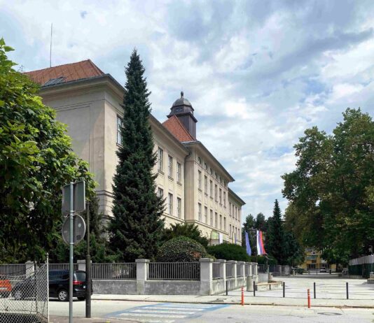 Mestna občina Celje: Ukrepi za umirjanje prometa na Trubarjevi, v Liscah in Na Zelenici
