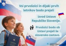 Minister za izobraževanje levico spravil v delirij? V želji po domovinski vzgoji bodo prvošolci dobili Ustavo RS!