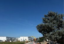 Mestna občina Celje: Začela se je izgradnja pločnika in obnova ceste med Babnim in Medlogom